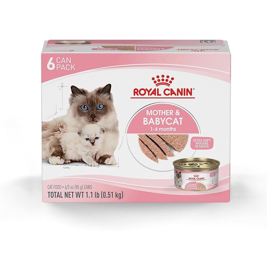 What is the Best Wet Cat Food for Kittens