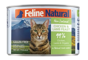 What is the Best Wet Cat Food