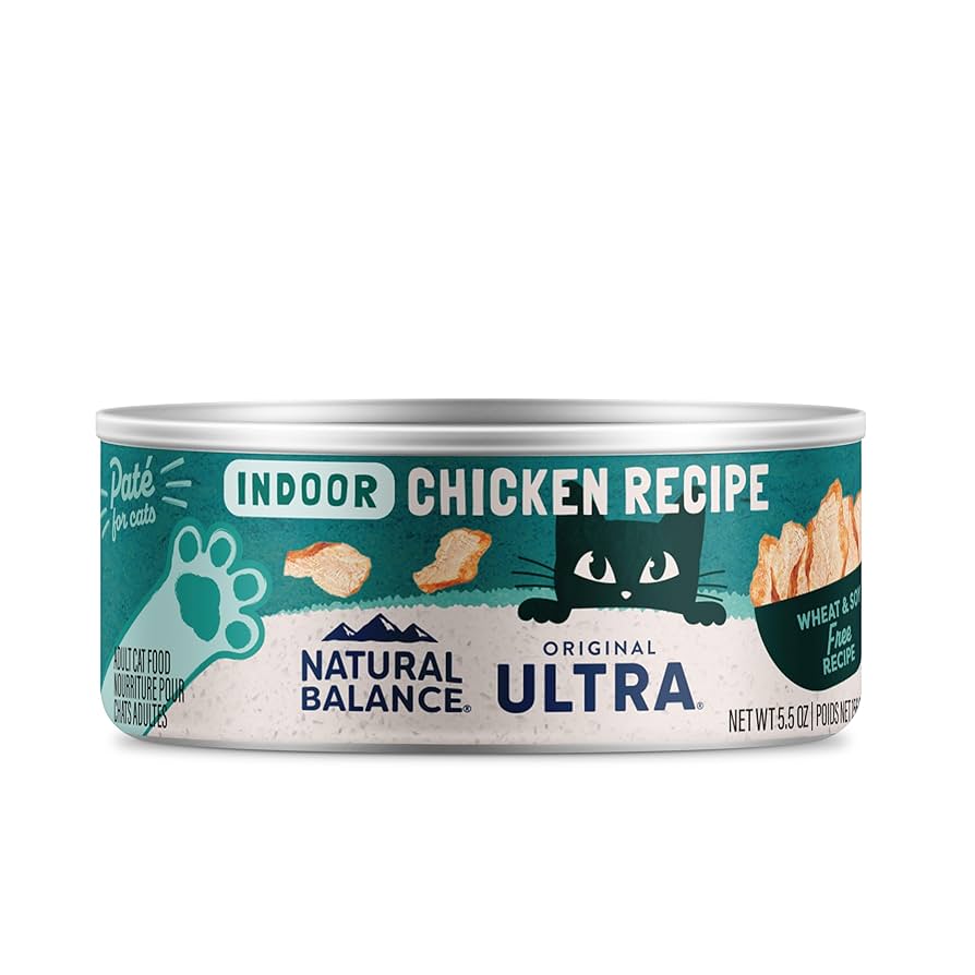 What is the Best Wet Food for Cats