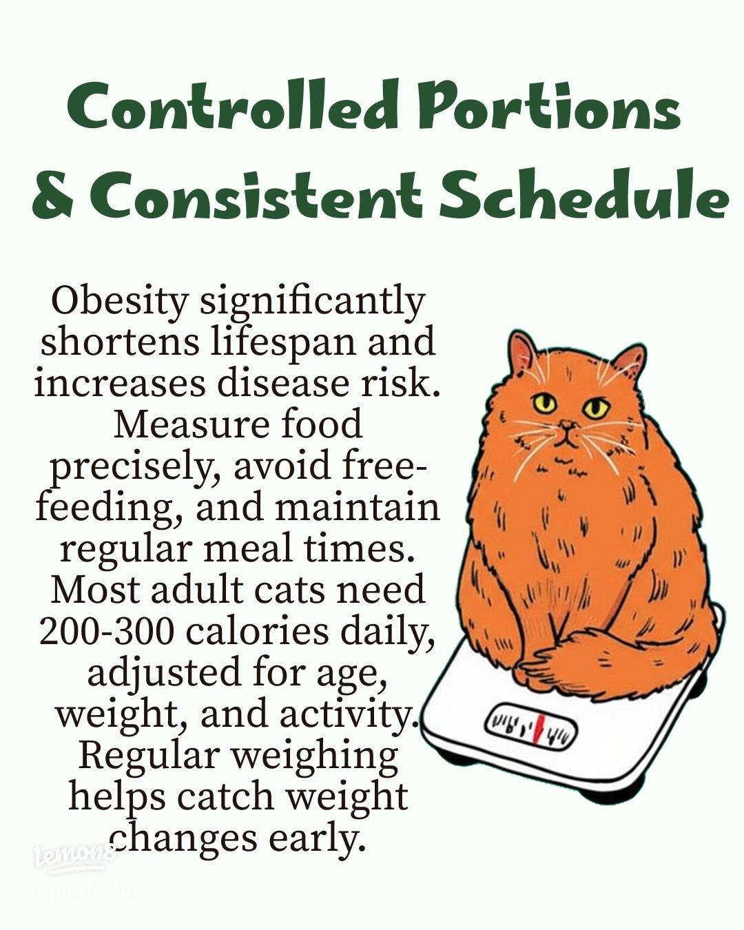 What Nutrition Do Cats Need