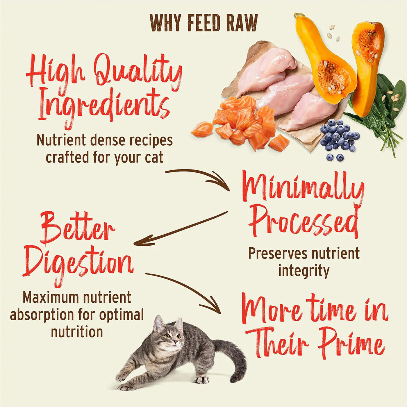 What Sort of Nutrition is Needed for a Sick Cat