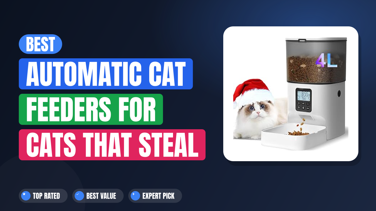 Best Automatic Cat Feeders for Cats That Steal Food