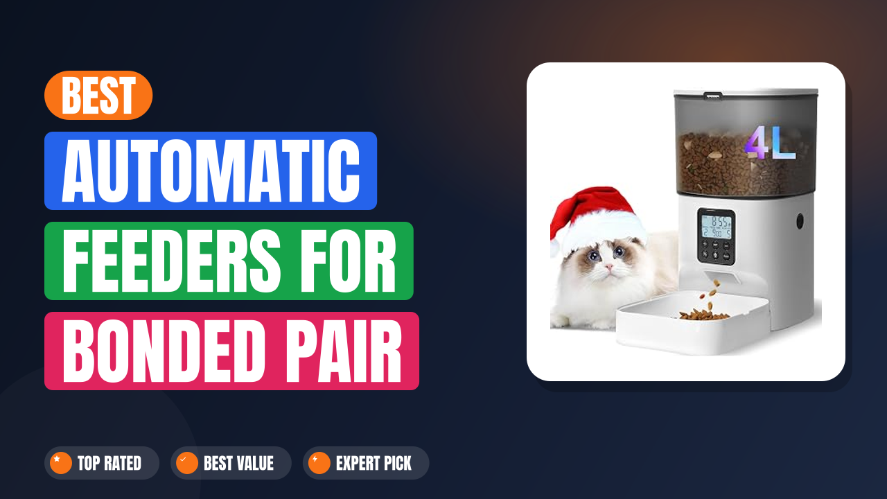 Best Automatic Feeders for Bonded Pair Cats