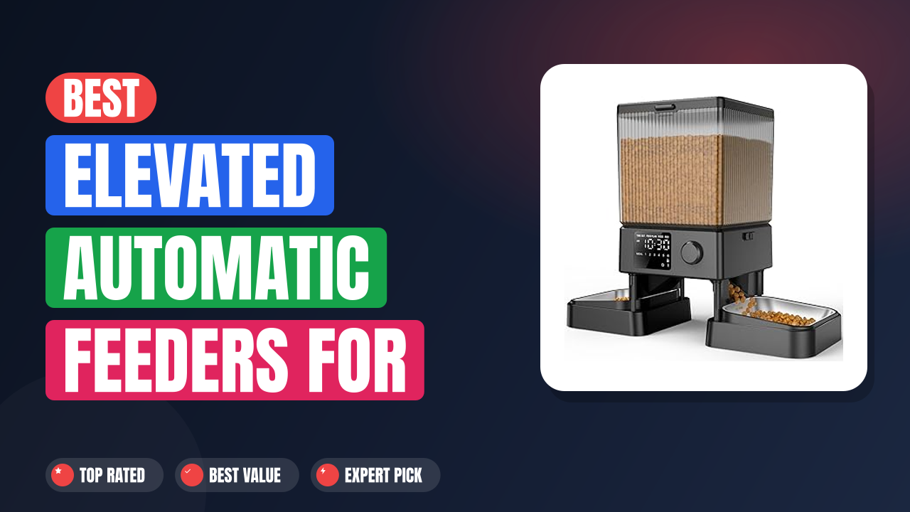 Best Elevated Automatic Feeders for Megaesophagus Cats