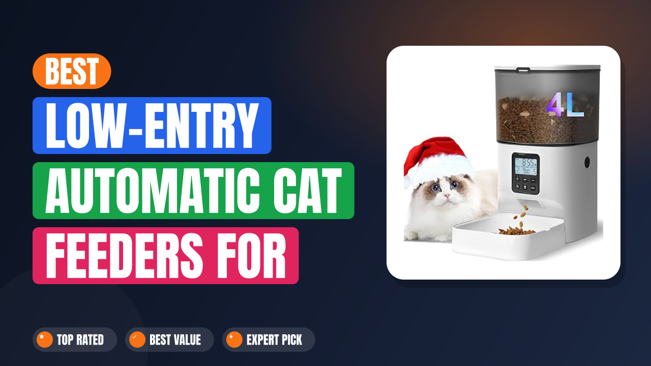 Best Low-Entry Automatic Cat Feeders for Arthritic Cats
