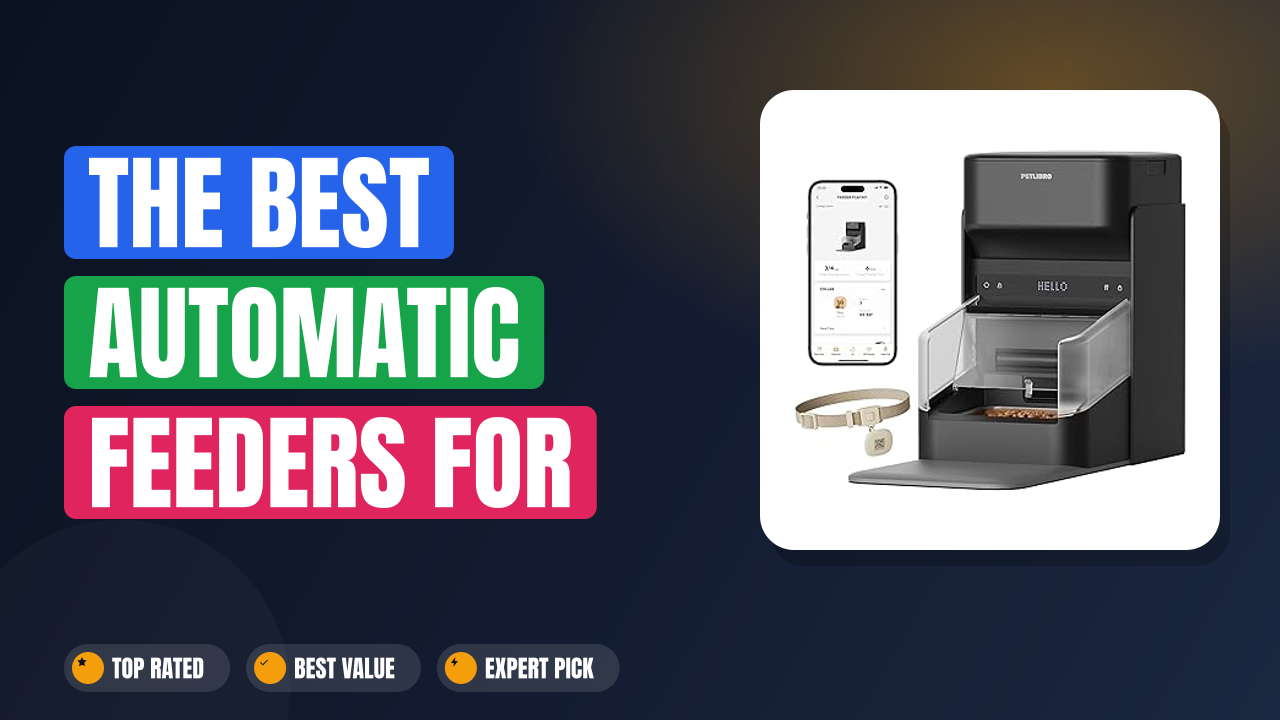 The Best Automatic Feeders for Prescription Diet Cats
